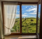 Ab in die Alpen (2025‑09)