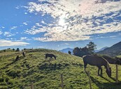 Ab in die Alpen (2025‑09)