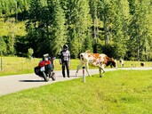 Ab in die Alpen (2025‑09)